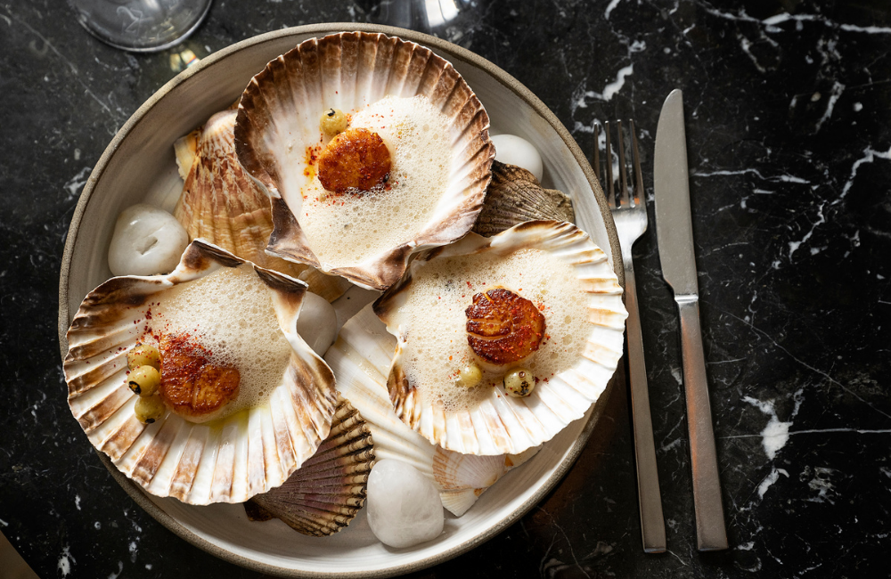 Summer forside (Copy) (Copy)